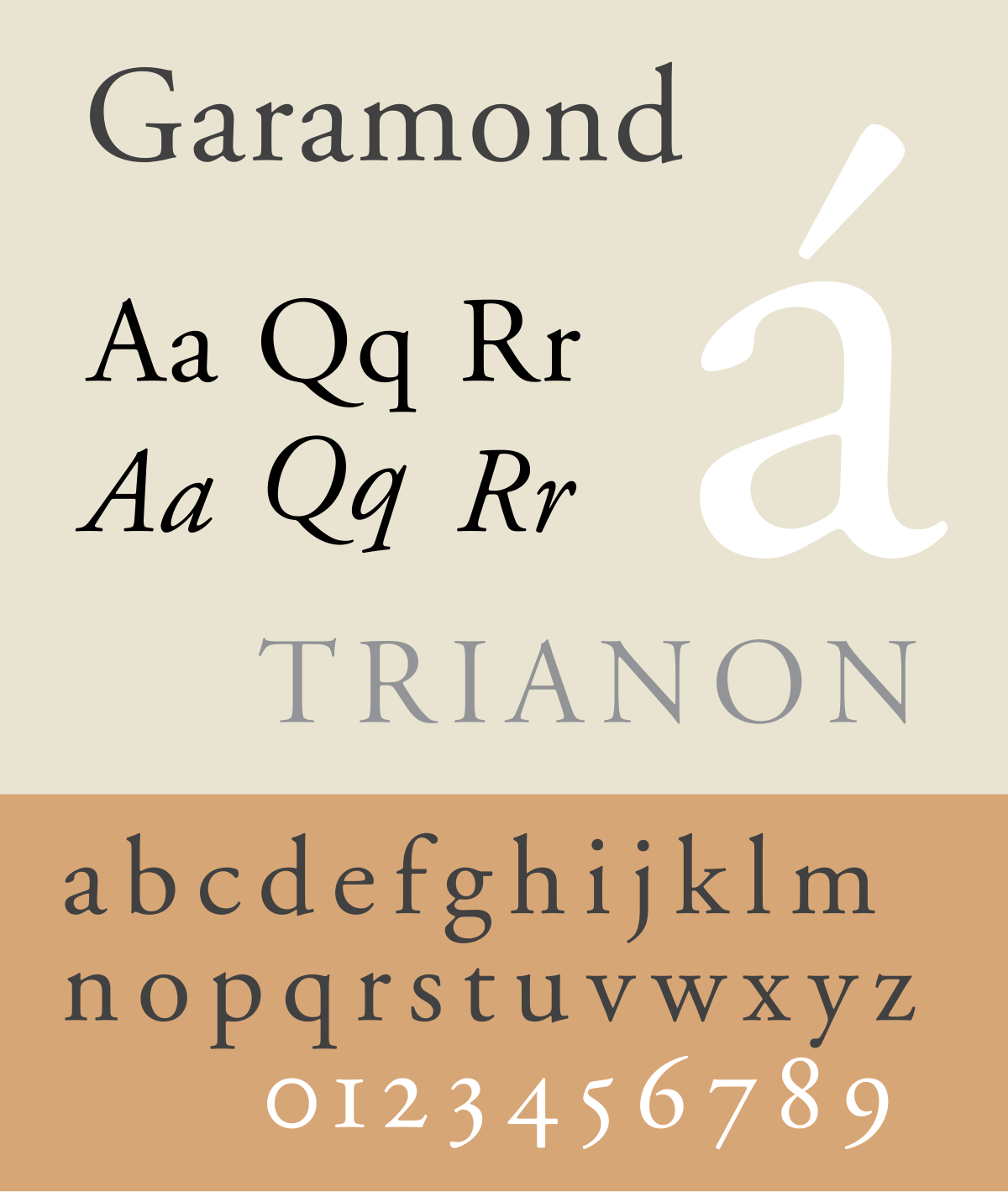 afbeelding van de lettertype zelf